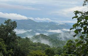 Smoky Terrace - near Waynesville entrance BRP