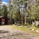 Wooden cabin by trees in a forest area.