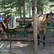 WILLOW PRAIRIE HORSECAMP