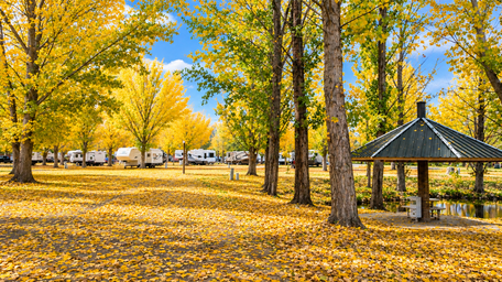 Uncompahgre River RV Park