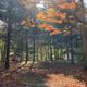 Campspot slideshow image 1