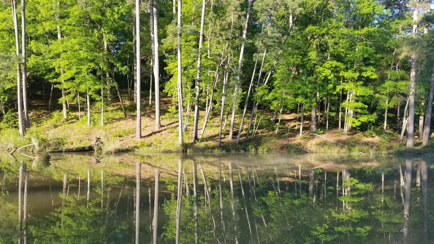 Clear Springs Recreation Area (MS)