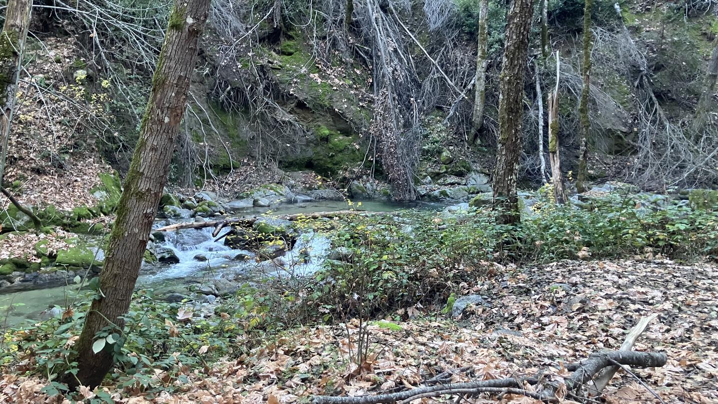 Crystal Creek Primitive Campground