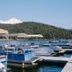 Close view of pontoons and the marina with Mount Shasta in the background — demonstrates rental boats and marina facilities available at the resort (from Rentals & Moorings page).