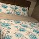 BOB-2018 Forest River RV Sunseeker 3270S Ford
