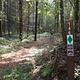 WILLIS KNOB HORSE CAMP Trail picture
