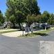 Clear view of an internal park island with speed limit signage and surrounding RV sites — gives an overall sense of the park roads and site spacing (photos page).