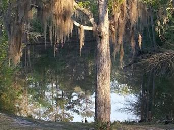 Campground image 4