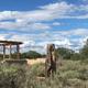 Wide daytime landscape shot of the grounds with pergola/Octagon structure, seating and surrounding scrubland — from the property site (page title: Rancho Gallina | Inn and Eco-Retreat), good for showing outdoor common areas and scenery.