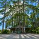 Small rustic welcome/office building set among tall pines — shows property reception/amenity building and landscaping.
