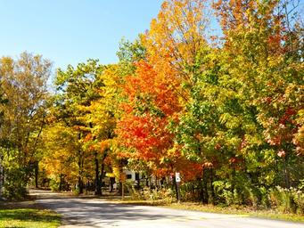Tranquil Timbers Campground