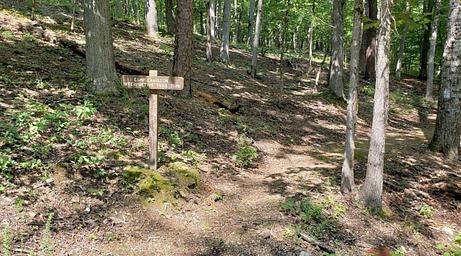 Charlton Campground - Interpretative Trail