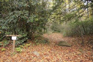 BRIAR BOTTOM GROUP CAMPGROUND 1