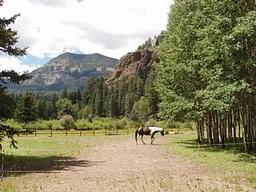 Palisades Horse Camp