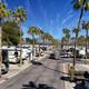 Long street-level aerial/oblique shot down an RV-lined road showing rows of sites and palms — useful for showing site spacing, road layout and community scale.