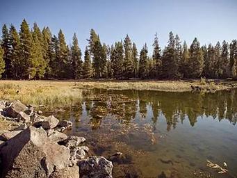Crane Prairie Campground