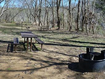 A brown picnic table and black metal fire ring can be seen in the foreground. Two more picnic tables can be seen in the background surrounded by trees.