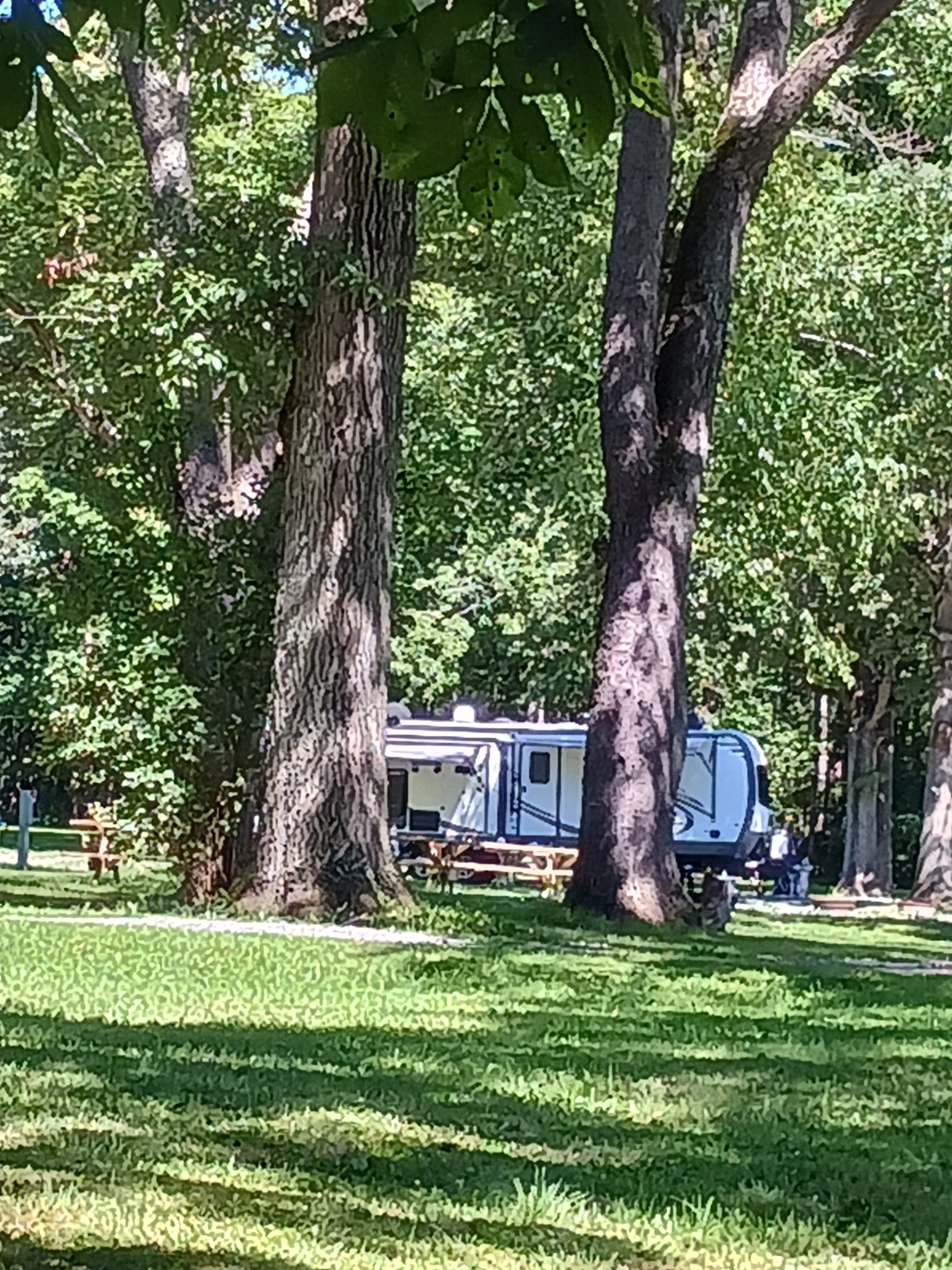 Quiet Acres Camping