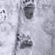 Bear Tracks Winter 2022