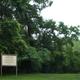 Campground image 2