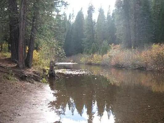 Camp 4 Group, Loop: CAMP 4 GROUP CAMPGROUND