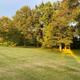 An open mown field at the campground in low evening sun, edged by a line of tall hardwoods.