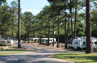 Campspot slideshow image 5