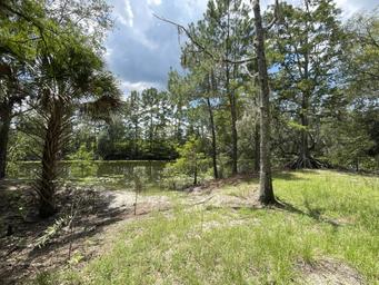 Ocklawaha Prairie Restoration Area Hike-In SJRWMD