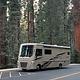 Phoenixville and Beyond Class A RV Glamping!