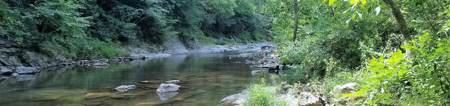 Steel Bridge Campground