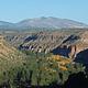 A canyon with trees changing color and mountains in the distance.