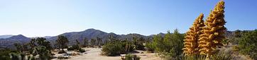 Black Rock Campground