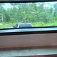 2022 Forest River RV Rockwood Ultra Lite 2911BS RV rental photo 13