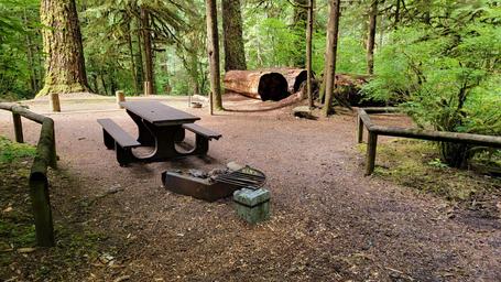 Yellowbottom Recreation Site