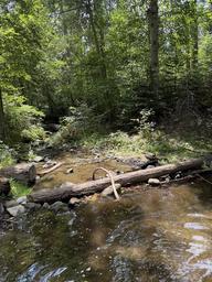 Eshom Campground