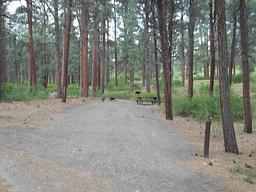 Ute Campground (CO)