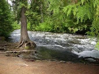 Tumwater Group Site
