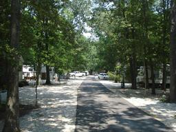 Shellbay Family Camping Resort
