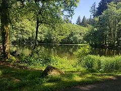 Serene Hebo Lake, under a blue sky