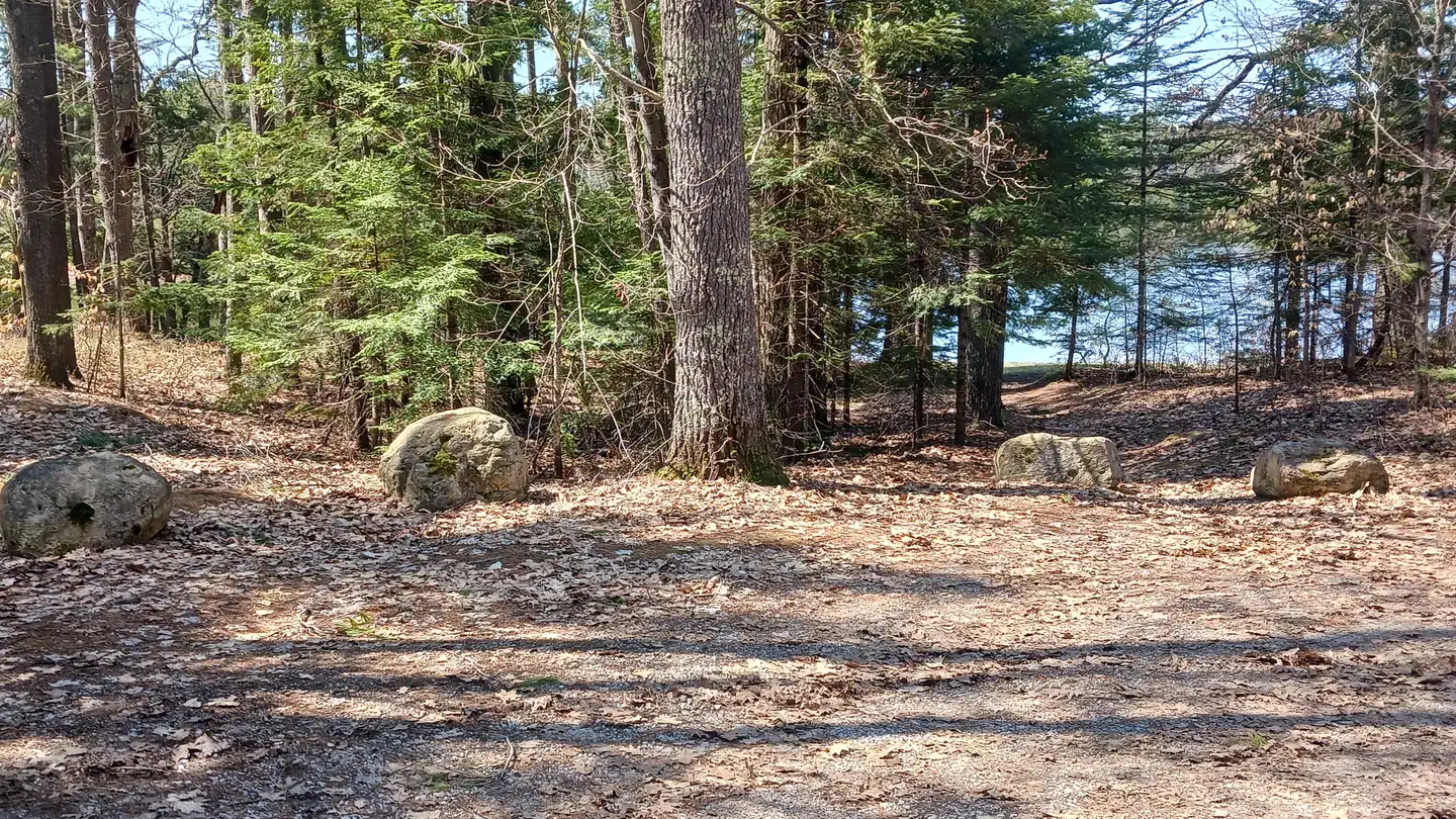 Little Bass Lake Campsites