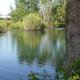 Catch-and-release pond view framed by trees and water — shows recreational fishing feature explicitly described on the property pages.