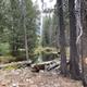 A photo of the creek Yosemite Creek Campground