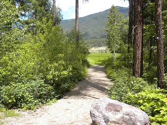 SOUTH DICKEY LAKE-Trail to Grassy Area from Site 2