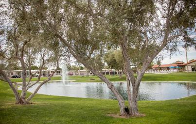 Encore Araby Acres