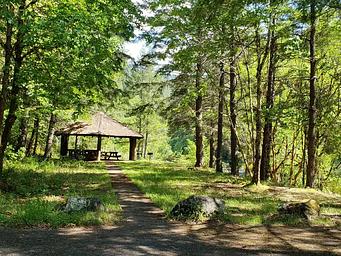 Group Picnic Shelter in sunlit glade of forested creek bank.