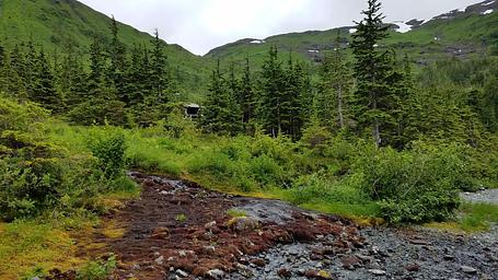 Black Bear Lake Cabin2
