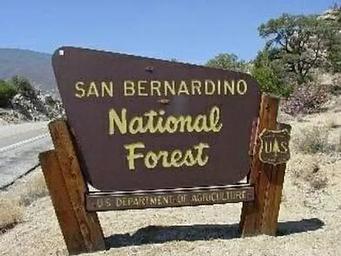 San Bernardino National Forest Sign at Lobo Group Campground