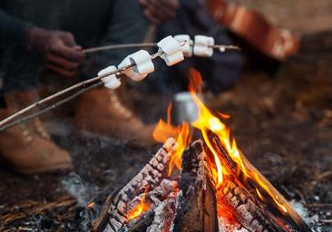 Close view of people roasting marshmallows over a campfire — depicts on-site family camping activities and appears on the resort’s Camping Activities page.