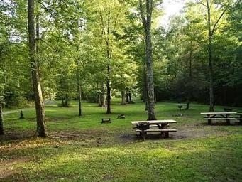 McNabb Group Camp