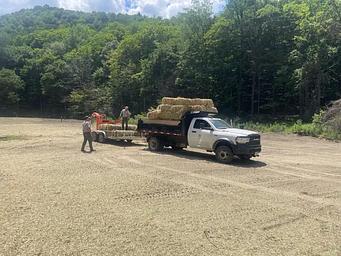 Seeding the Campsites